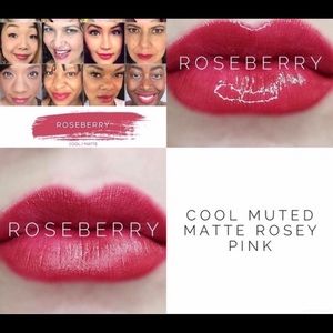 Lip Sense Roseberry Matte Lip Color.